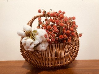 14F0DF29-BED3-4C96-9F26-3BC1E867F1A9.jpeg