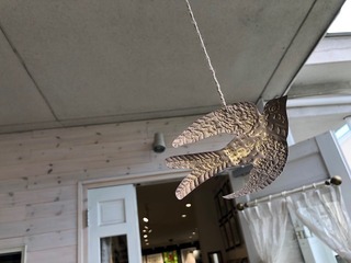 C2EE0C47-2DDB-47EE-859D-6410225F05ED.jpeg