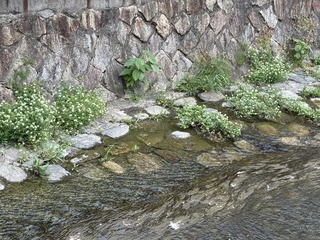 IMG_4263.jpeg