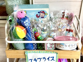 IMG_4277.jpeg