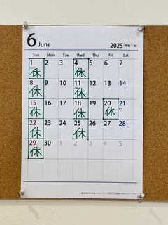 IMG_4615.jpeg