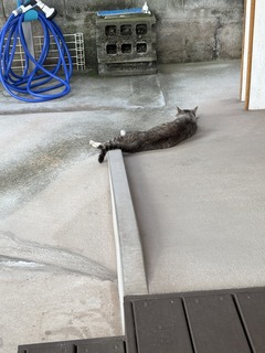 IMG_5044.jpeg
