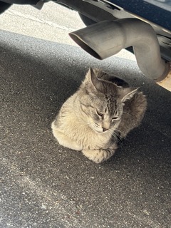 IMG_5170.jpeg
