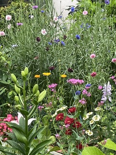 IMG_9286.jpeg